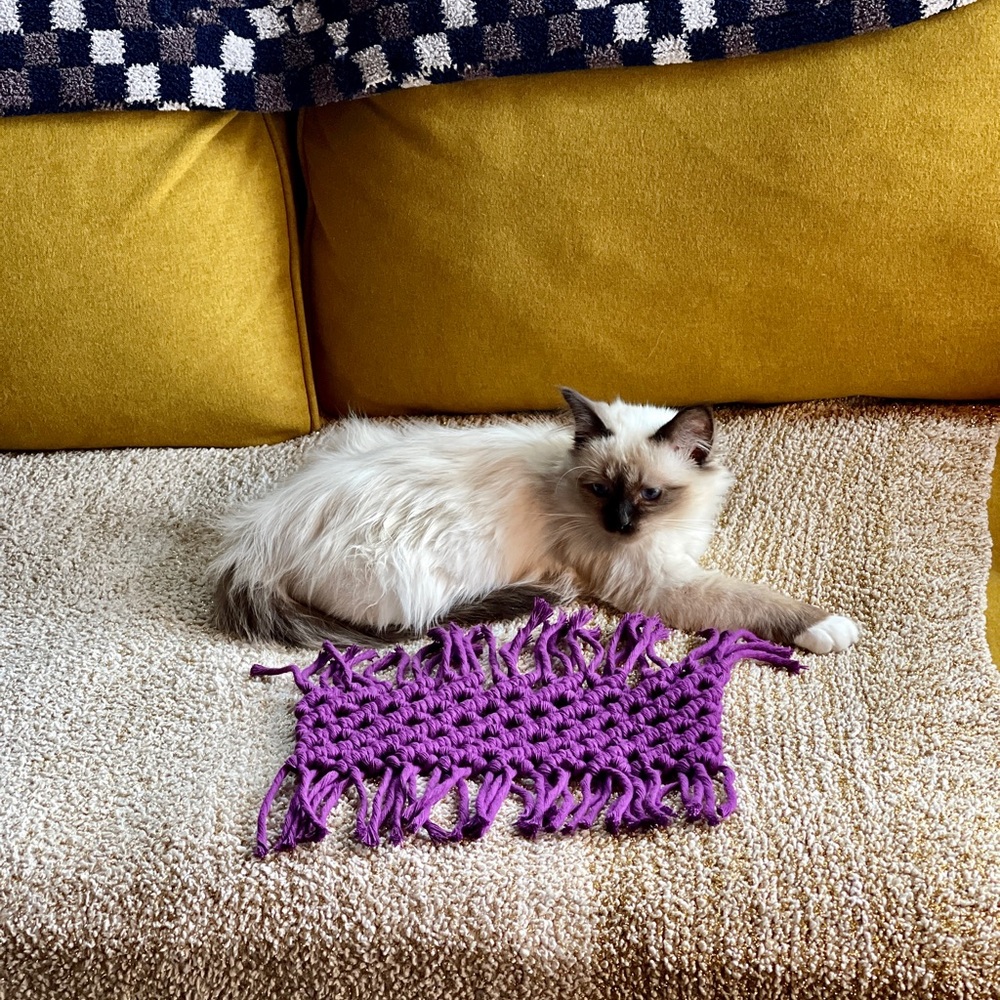 Handmade Macramé Mini Rug - Picture 3 of 4